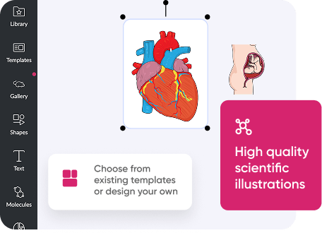 Scientific Illustration Maker